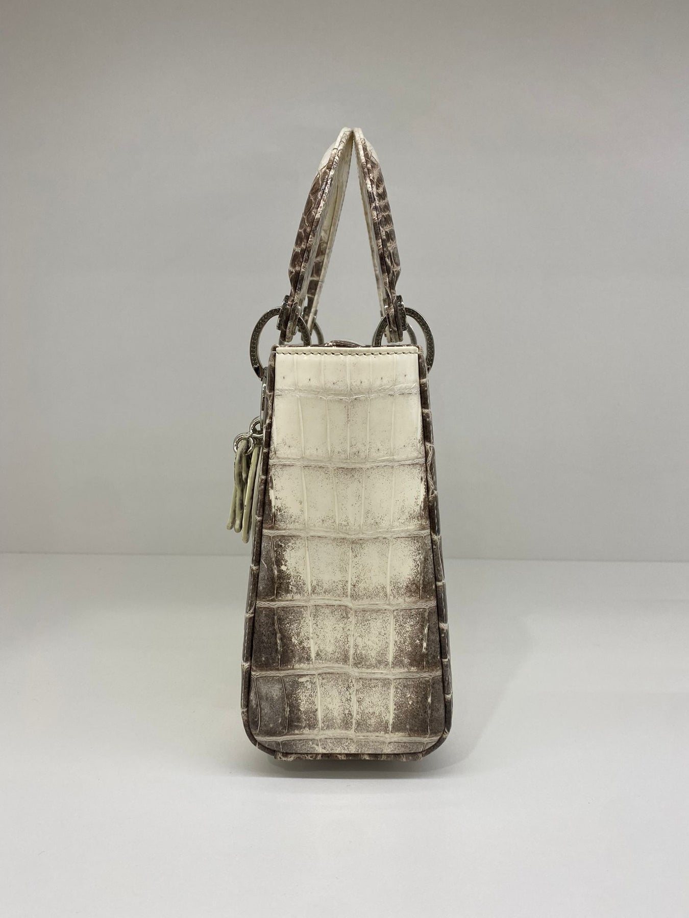 Top hơn 63 về lady dior himalayan crocodile bag hay nhất cdgdbentreeduvn #19 Top hơn 63 về lady dior himalayan crocodile bag hay nhất cdgdbentreeduvn